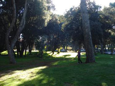 Casa de Campo