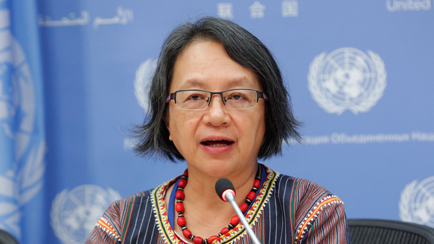 United Nations Special Rapporteur, Victoria Tauli-Corpuz