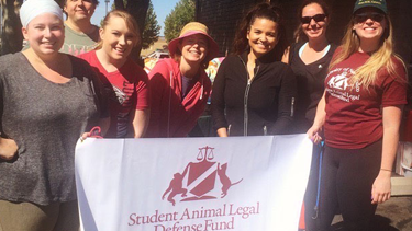 The UNM Law School's Student Chapter of the Animal Legal Defense Fund (SALDF)