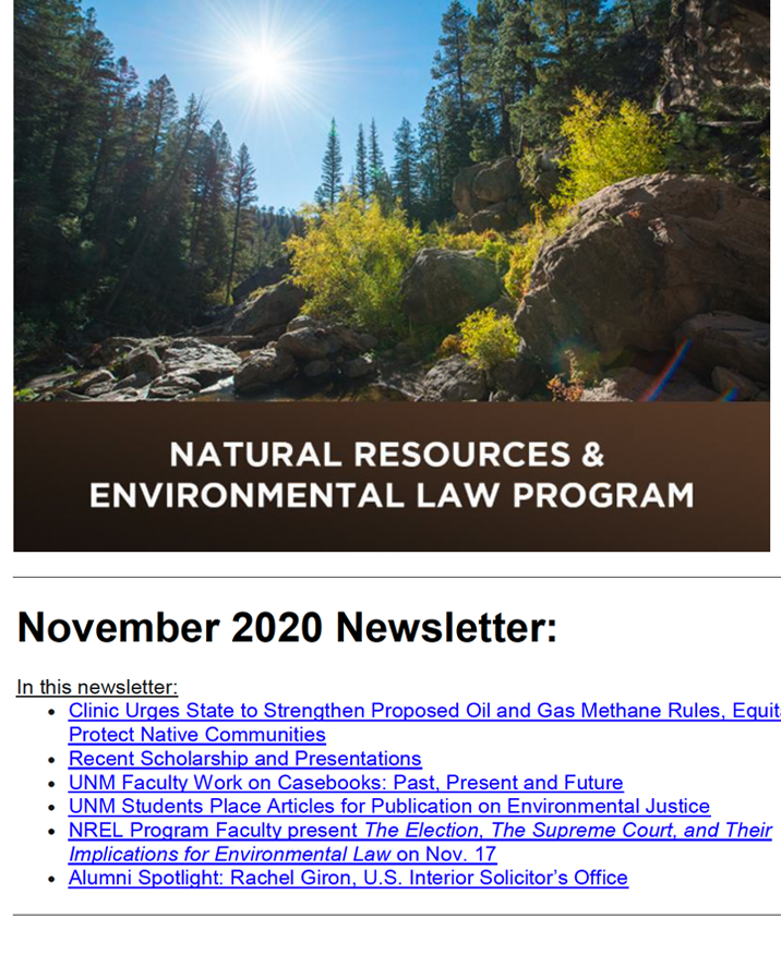 a preview of the november 2020 newsletter topics