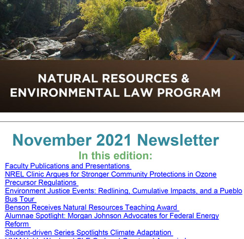 a preview of the november 2021 newsletter topics