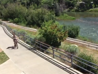 Good news - Animas River looks much better on August 14, 2015.